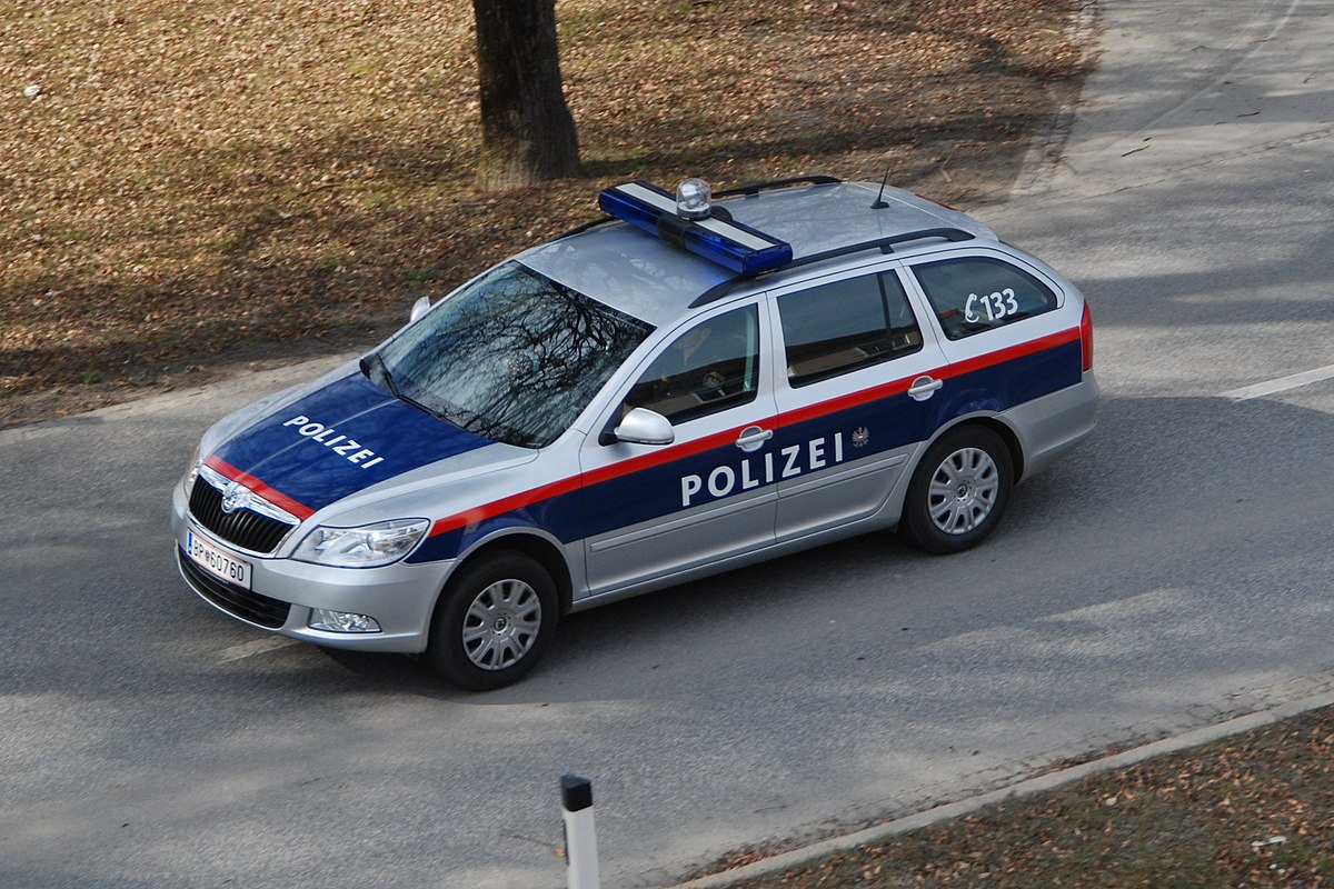POBJEGAO PREKO GRANICE, ALI NIJE DALEKO DOSPIO! Uhvaćen mladić osuđen zbog silovanja: Pao je ubrzo nakon raspisane tjeralice