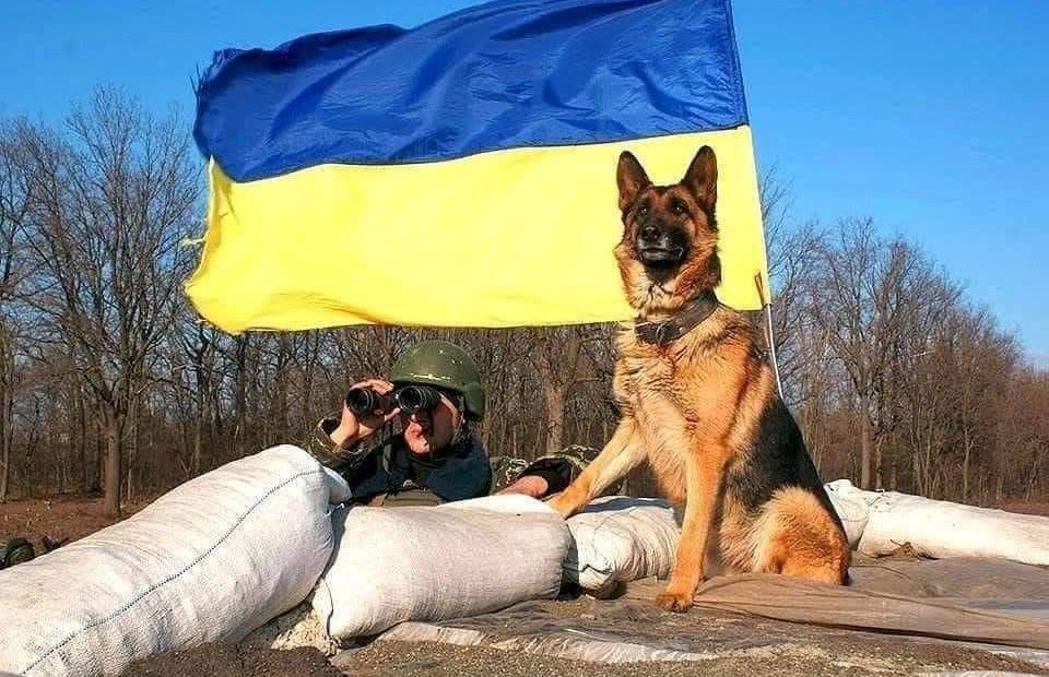 Ukrajinski ‘šamani‘ napadaju Ruse na njihovu teritoriju: ‘Prvi koji me vidio, izbezumio se‘