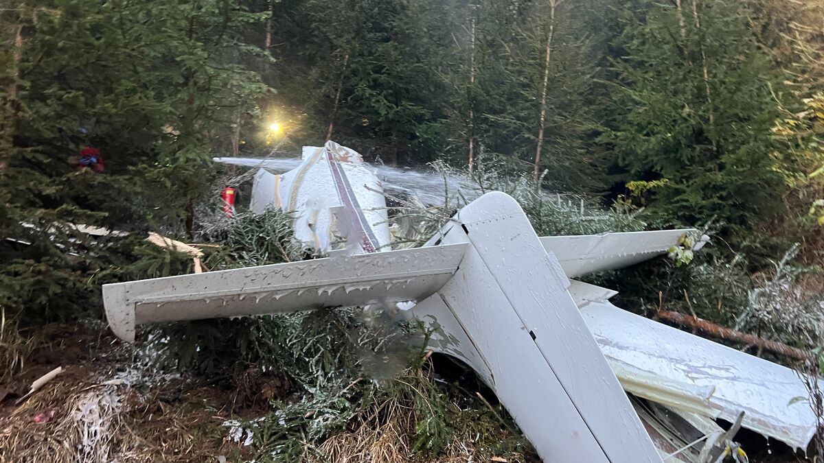 Tragedija u Austriji: Srušio se mali sportski zrakoplov, poginule četiri osobe