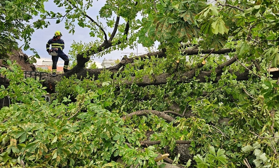 Snažno nevrijeme pogodilo Zagreb i Dalmaciju: Vatrogasci na terenu, izdana upozorenja DHMZ-a
