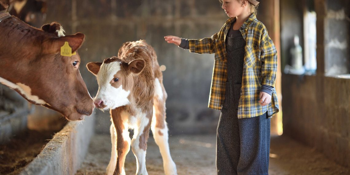 RuralFoto 2025: Uhvatite objektivom trenutke koji pričaju priču hrvatskog sela