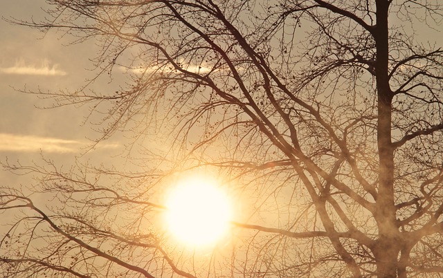 Vremenska prognoza: Danas do 15°C, ali za vikend stiže zahlađenje i moguće oborine