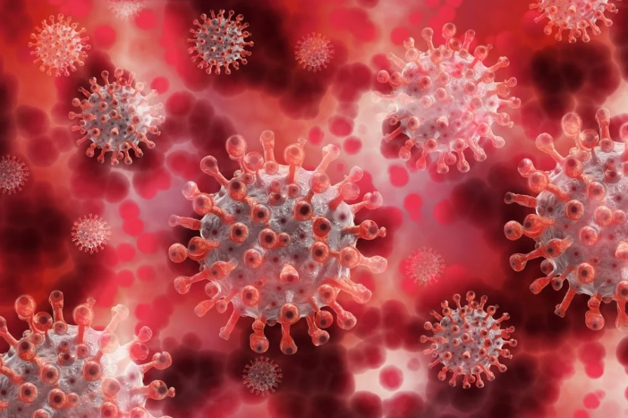 VIRUS MUTIRAO Puno se brže širi nego originalni 'kineski' soj, ali ne uzrokuje toliko teška oboljenja