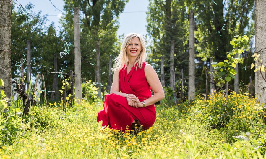 Dijana Zadravec otkrila koga je sve prijavila zbog 'otimanja novca poreznih obveznika': Nisam promijenila ime kao neki...