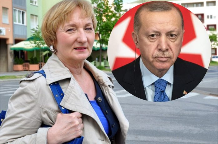 Starešina: Erdogan i dalje destabilizira zapadnu Europu zatrpavajući je ilegalnim migrantima
