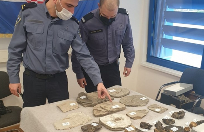 Preko granice pokušao prokrijumčariti fosile stare 15 milijuna godina, vrijede čitavo bogatstvo