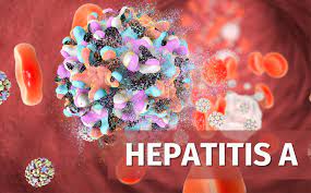 Hepatitis hara zagrebačkim školama
