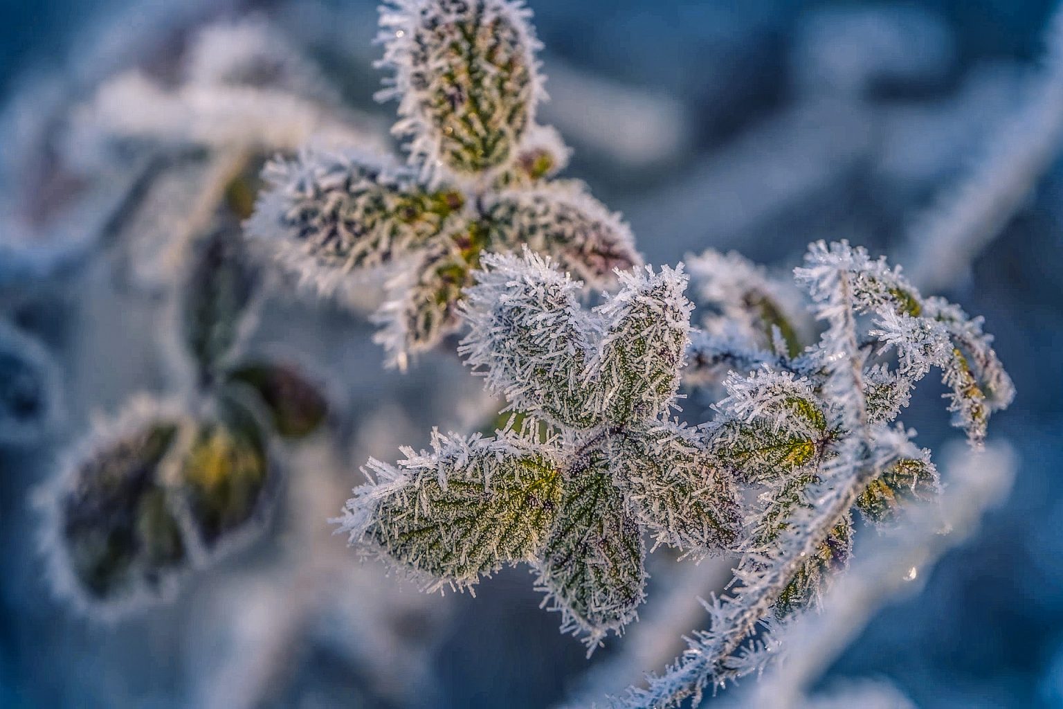 Hladna fronta stigla u naše krajeve: Temperature padaju, bit će kiše i snijega