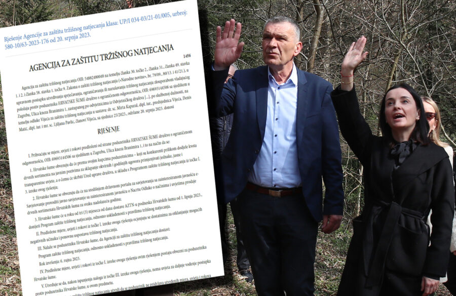 Borba za drvo Hrvatskih šuma: Šifrirane poruke, optužbe i izgubljeni milijuni
