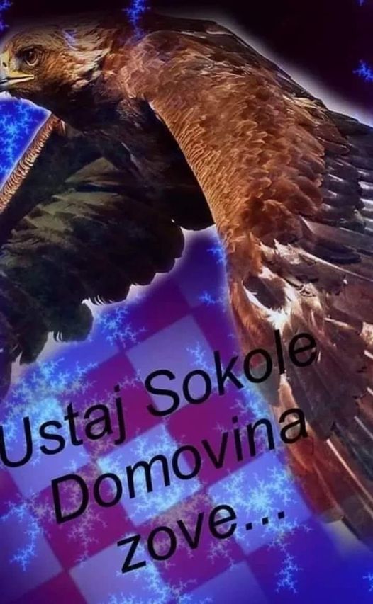 Ivanka Bušljeta: NEKOĆ HRABRI RATNICI DANAS UŠUTKANI !!!