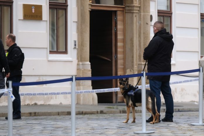 Stručnjak otkrio Danijelov (22) motiv za napad? ‘Ovo je zastrašujuće i opasno…’