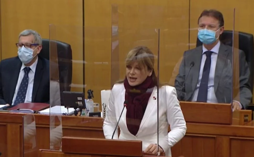 SABOR Vidović Krišto oštro prozvala Plenkovića i Vladu, na udaru našli se Martina Dalić i Vanđelić