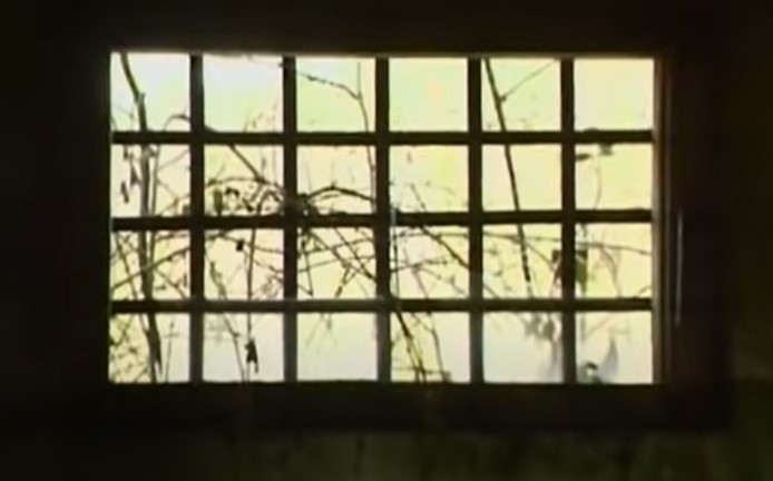 29. listopada 1991. Zločini srpske vojske – zvjerska mučenja i ubijanja Hrvata u logorima Zapadne Slavonije (VIDEO)