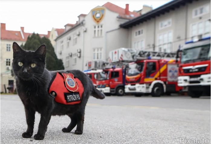 Bave se ozbiljnim poslom, no vatrogasci su osmislili najbolju prvotravanjsku šalu ikada!