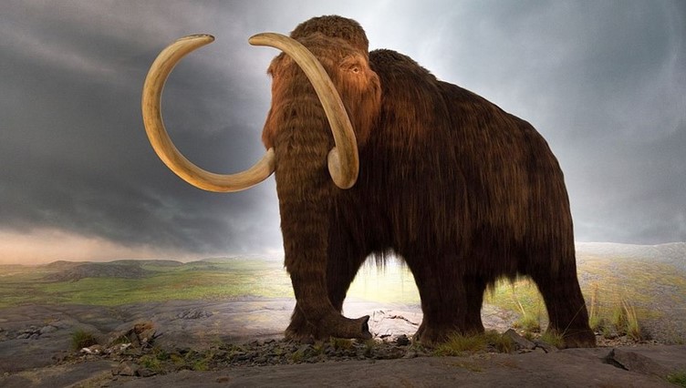 Sintetska biologija dizajnira mamute-mutante za borbu protiv stakleničkog efekta