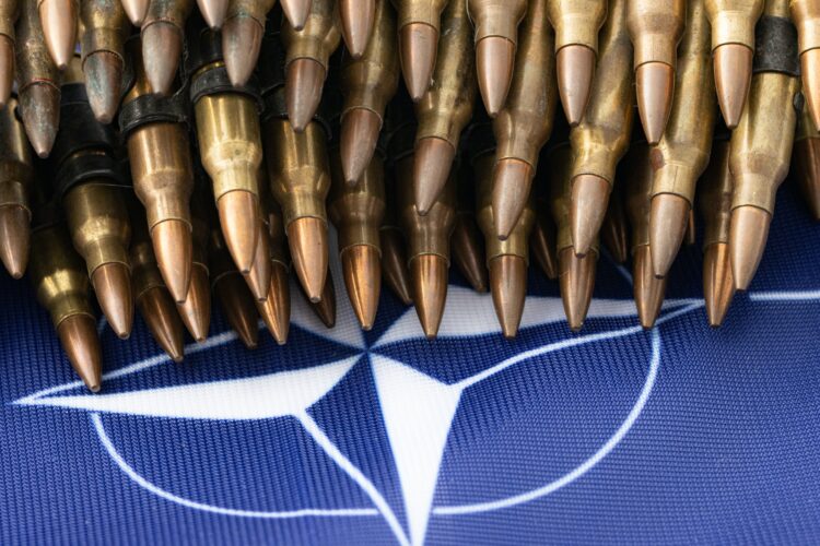 Objavljene fotografije plana: Ovako izgleda obrambena linija u sedam slojeva između NATO-a i Rusije