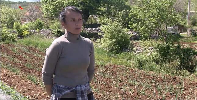 Problemi OPG-ovaca s Klisa: Usitnjene parcele, česte izmjene propisa...