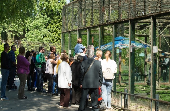 TEŠKA NESREĆA U OSIJEKU: Radnik u Zoološkom vrtu pao i završio u bolnici s teškim ozljedama