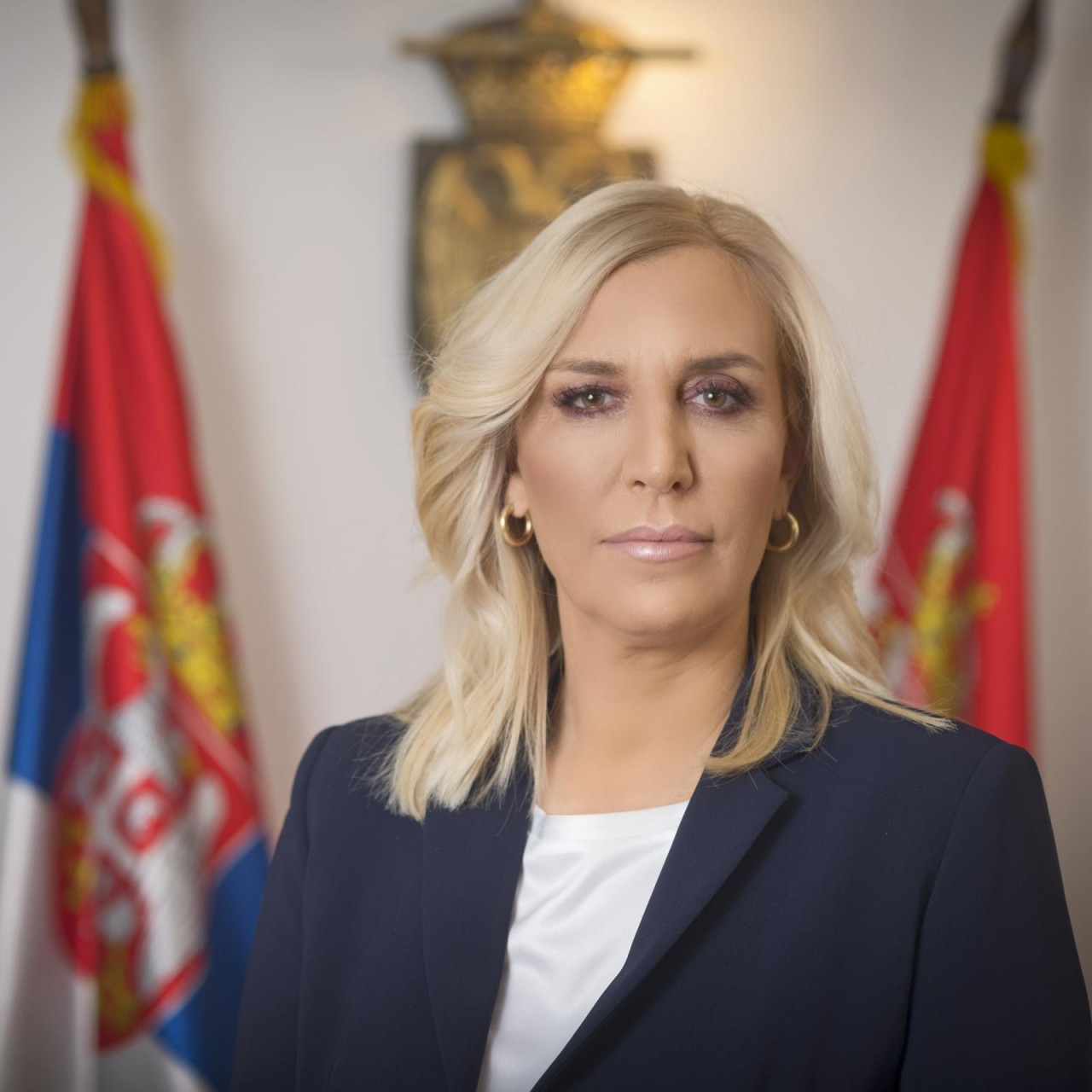 Srpska ministrica napala Hrvatsku pred Vijećem sigurnosti UN-a, odgovorio joj naš veleposlanik