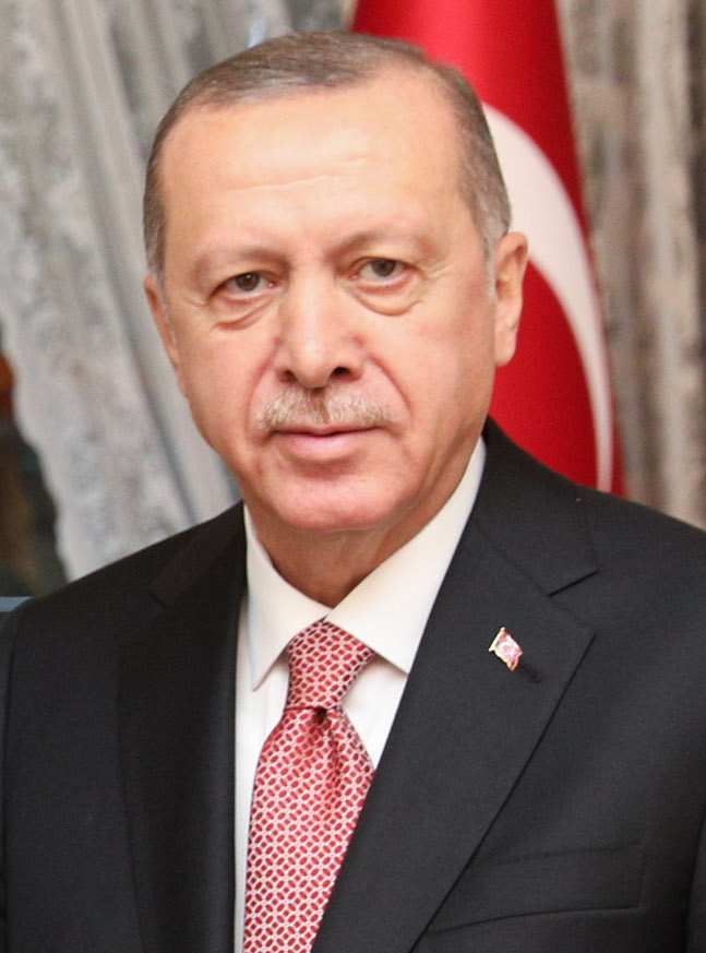 Erdogan pobijedio na izborima - Turska ulazi u treće desetljeće njegove vladavine