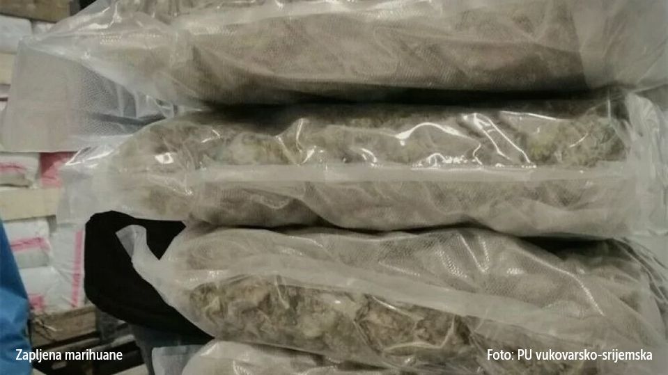 FOTO Kakav ulov policije! Na Bajakovu pao s gotovo 300 kilograma marihuane, pogledajte gdje ju je sakrio