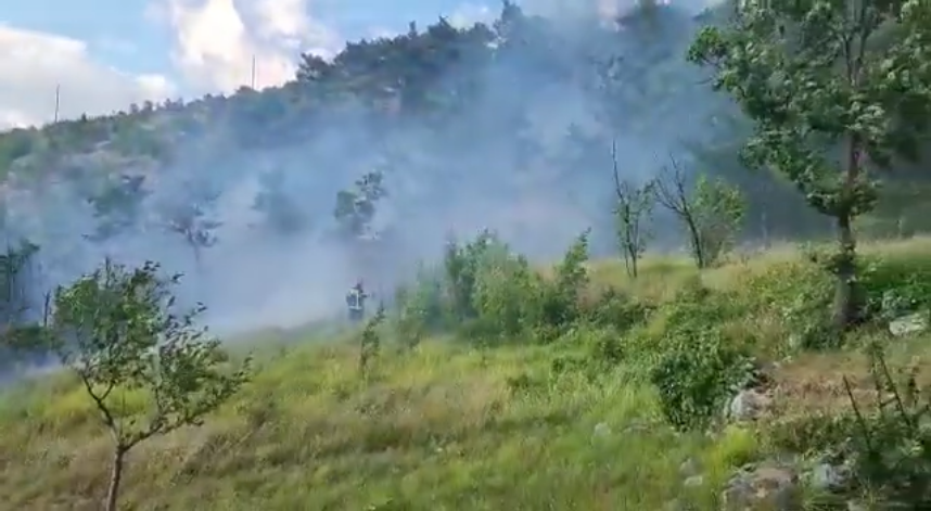 Planulo i u blizini kuća kod Žrnovnice pokraj Splita, vatrogasci lokalizirali vatru