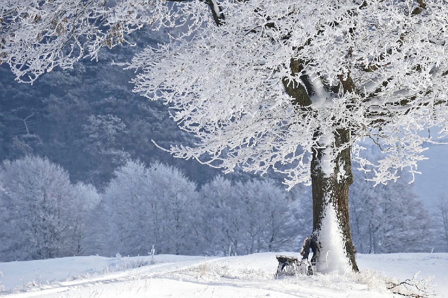 Hladni val stiže u Hrvatsku: Snijeg, jaka bura i temperature do –19 °C