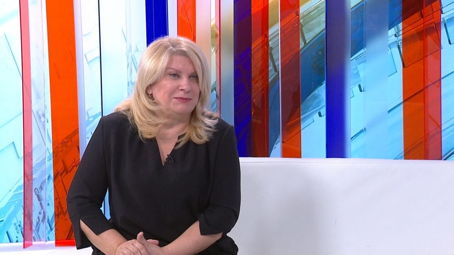 Škare Ožbolt: Kad je riječ o zakonu, ZDS nije kazneno djelo