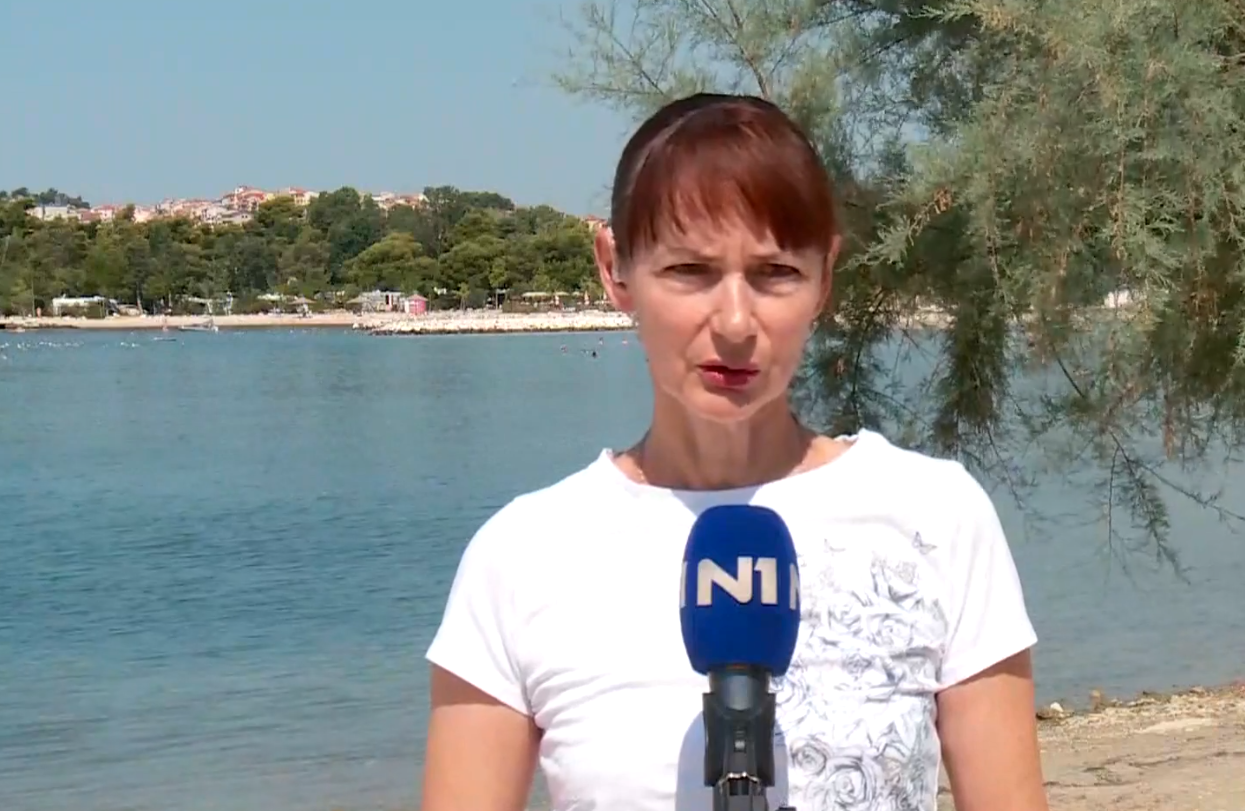 Vučemilović: Pozivam Mlinarića, Dretara i Prkačina da javno kažu jesu li zaista osudili Škoru na sjednici