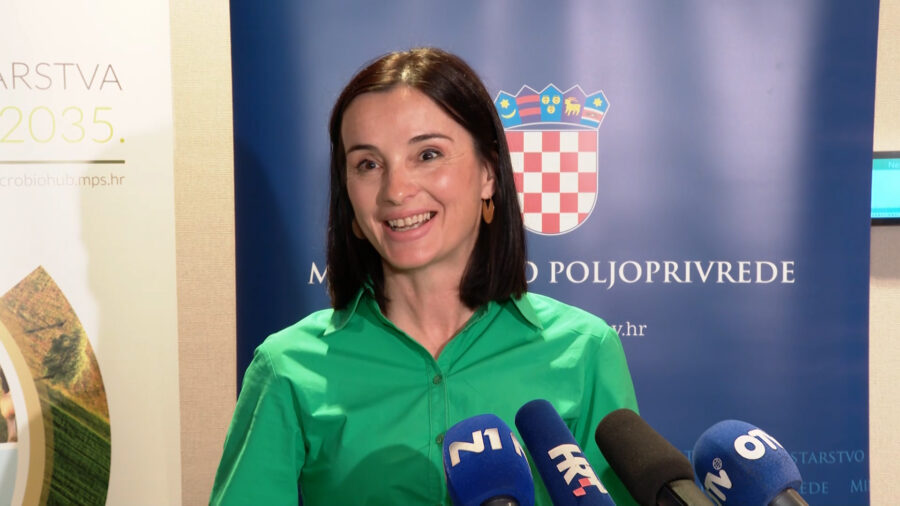 HDZ-ov ministar zarađuje zbrinjavanjem usmrćenih svinja. HDZ-ova ministrica kaže da ništa nije sporno
