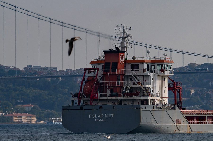 Na rubu nove krize: Ruska suspenzija sporazuma o žitu ugrozit će milijune ljudi