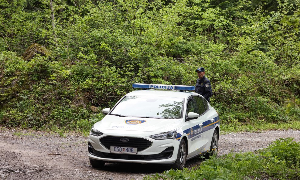 Tragedija u šumi: Pri rušenju stabla poginuo 59-godišnji hrvatski državljanin