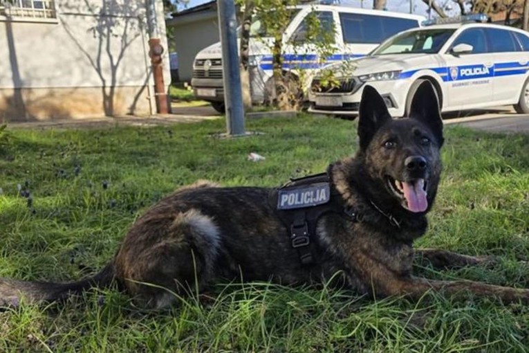 Policijski pas na A1 kod Zadra nanjušio drogu. U autu pronašli pola kile kokaina