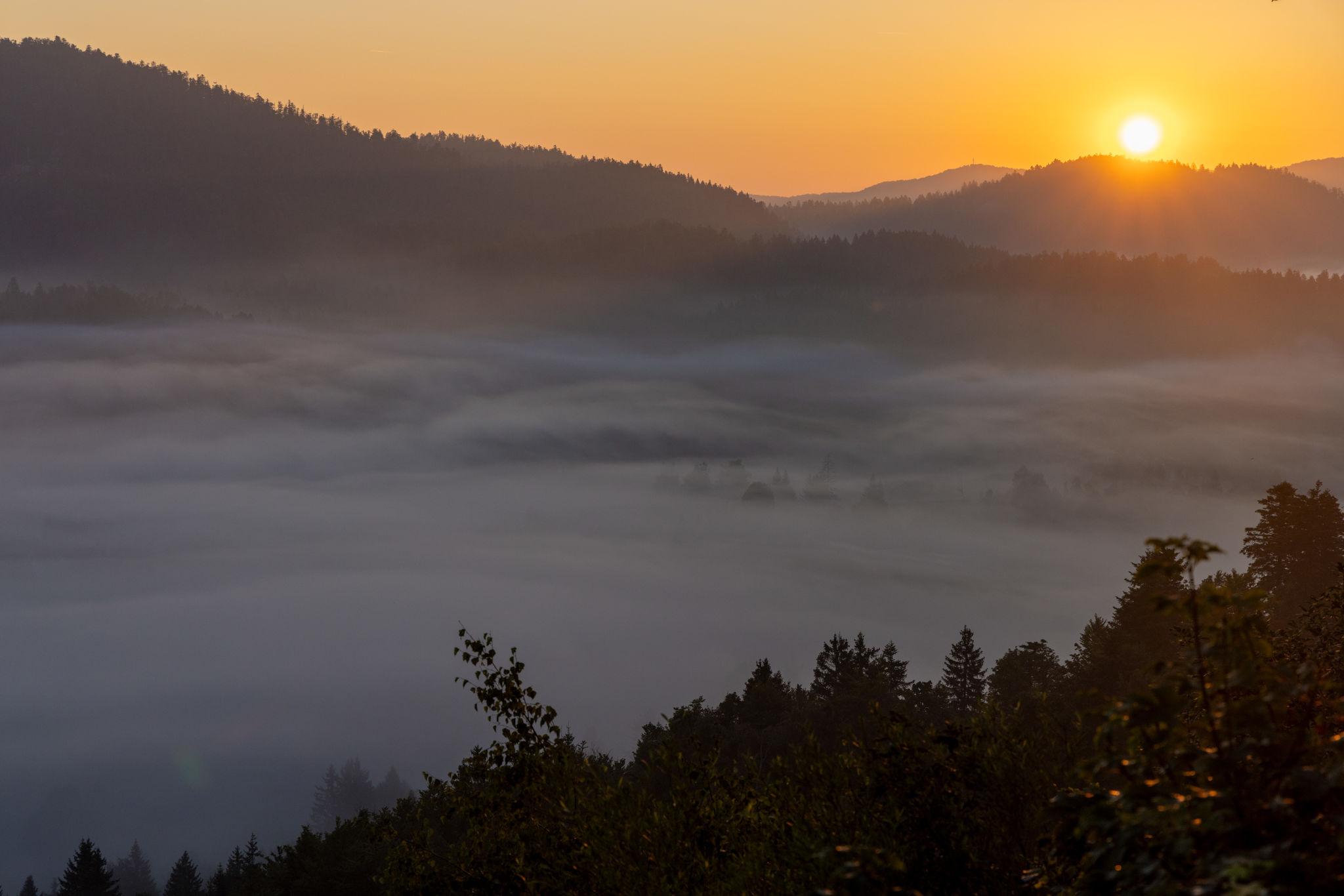 Sunčani dani bliže se kraju: U ponedjeljak jutarnja magla, od srijede kiša i jako jugo