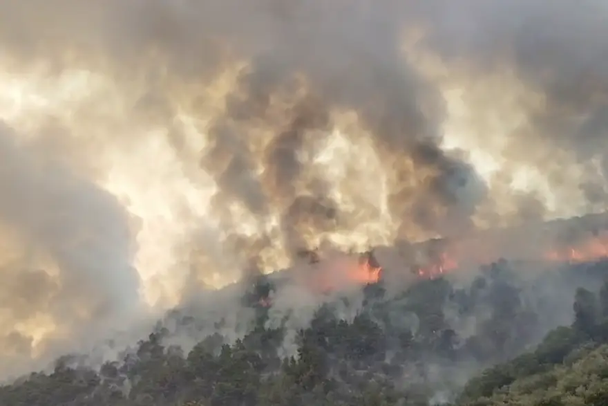 Veliki požar na Korčuli gase vatrogasci i tri kanadera, zatvorena cesta prema Veloj Luci