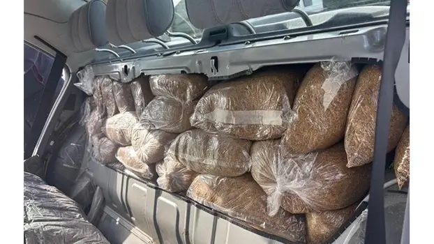 Kod Kikovice tvrdio da prevozi kupus, carinici pronašli gotovo 47 kilograma duhana