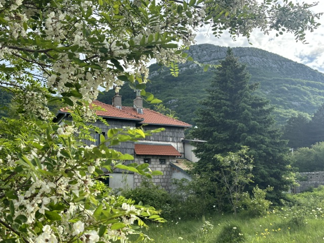 Otišli su do svojega doma na Orjenu. JNA ih je odvela u Trebinje