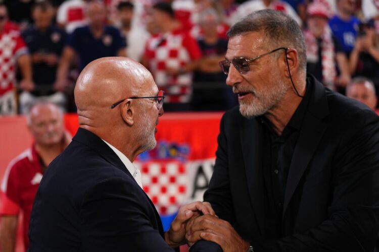 Španjolski izbornik: ‘Nije normalno da Hrvatska izgubi 7:0’