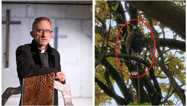METEŽ U ZAGREBU VIDEO Love odbjeglu jastrebicu župnika: 'Ogrebala mi je sina po glavi i zaletava se na ljude!'